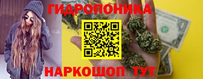 спиды Гусев